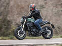 Benelli Leoncino 800 im Fahrbericht