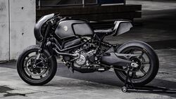 Ducati Monster 821  Rough Crafts