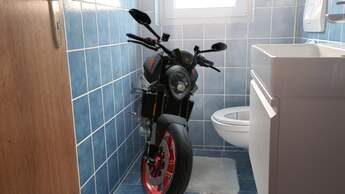 Ducati Monster AR 
