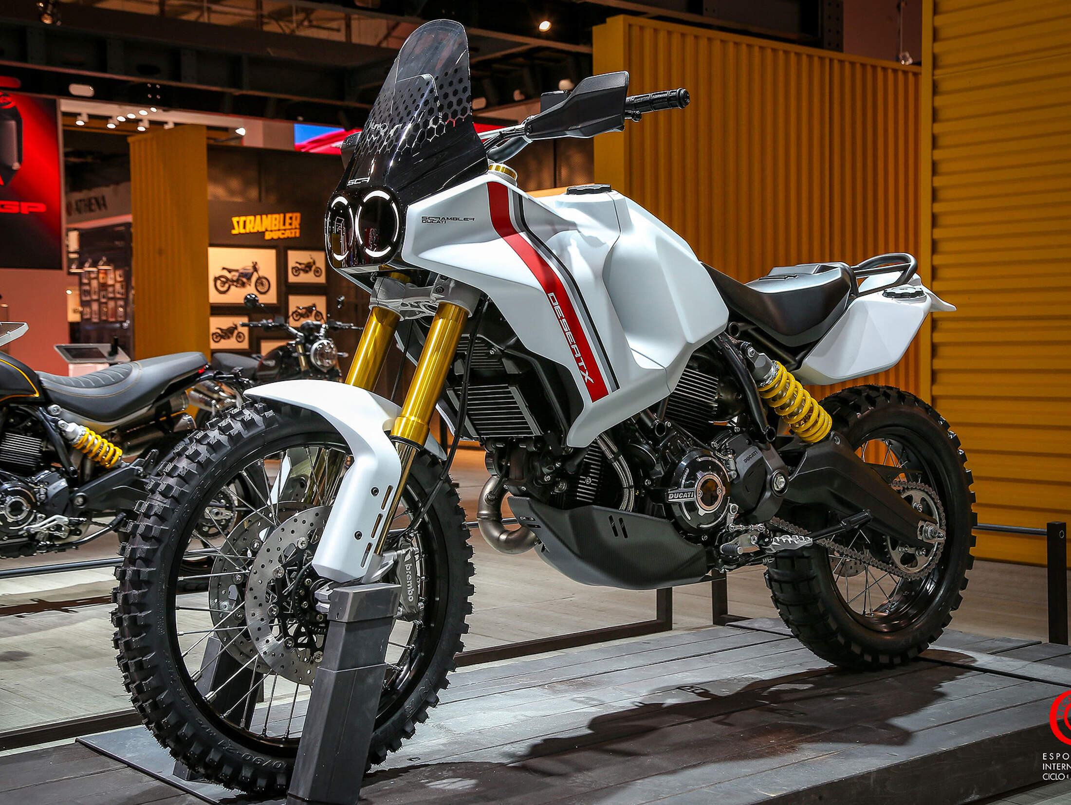 ducati desert