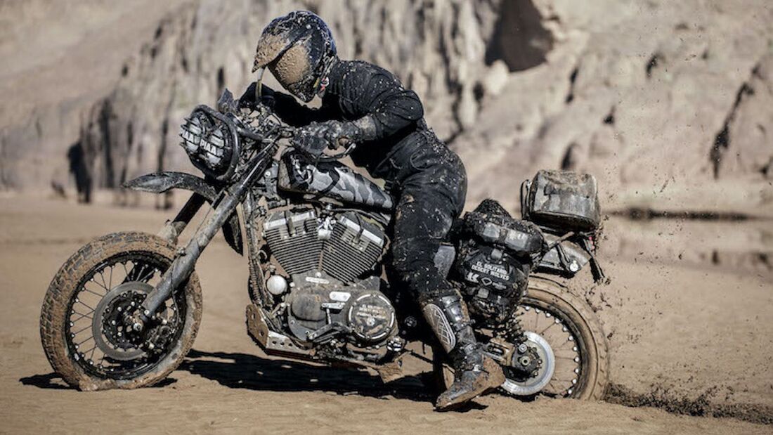 Harley-Davidson 1200 Roadster Desert Wolve.