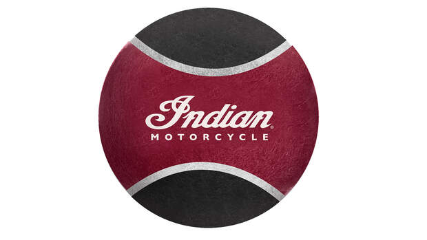 Indian Hunde T-Shirt