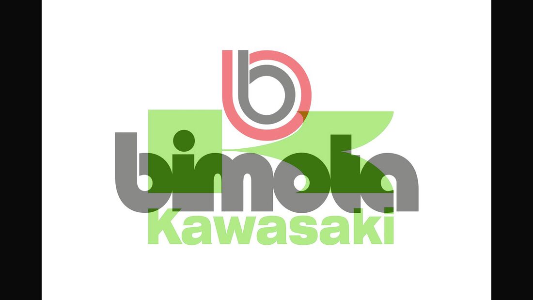 Kawasaki-Bimota-Logo-article169Gallery-bc1270af-1631241.jpg