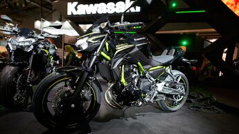 Kawasaki Z 650 Eicma 2019