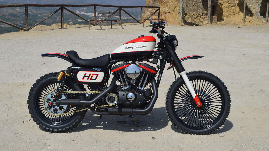 Lord Drake Kustoms Harley-Davidson SOULBREAKER Sportster Scrambler 