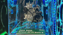 Motori Minarelli 300 T EU5