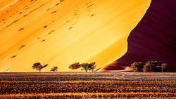 Namibia Dirk Schäfer