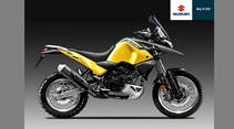 Suzuki 650 Enduro Concept Oberdan Bezzi