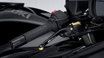 Suzuki Hayabusa Web-Edition