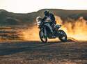 Triumph Tramontana
