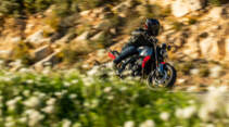 Triumph Trident 660 Top-Test
