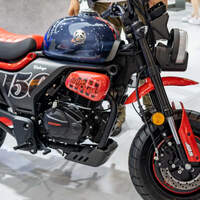 Zonsen ZS 150 Mini Panda als Scrambler und Café Racer | MOTORRADonline.de