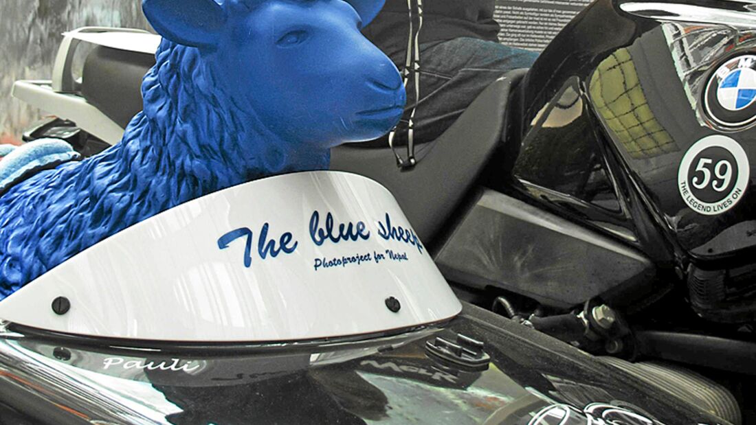 Blaues Schaf im Seitenwagen