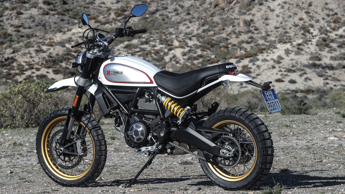 ducati scrambler desert sled umbau