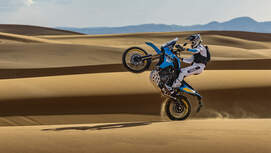 Yamaha Ténéré 700 und Ténéré 700 Rally (2025)