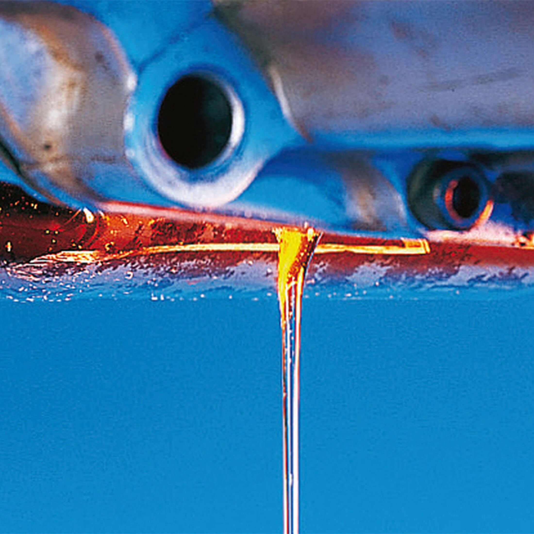 Schraubertipp Ölwechsel und Ölstandskontrolle